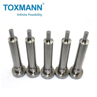 Punching mold mold molding mode e punch e die set produto ferramentas de punção morrer
